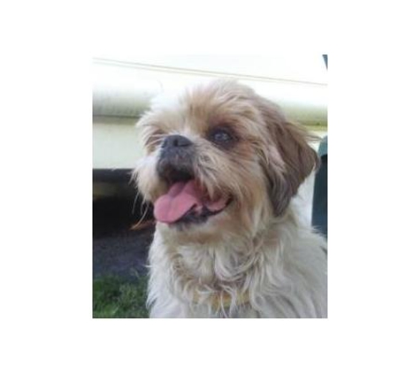 Mullumbimby Veterinary Clinic - Mullumbimby, NSW