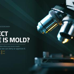 O2 Mold Testing of Fort Lauderdale - Fort Lauderdale, FL