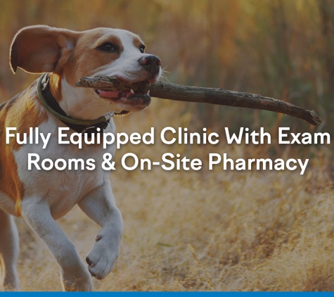 Bald Hills Veterinary Surgery - Bald Hills, QLD. Fully Equipped Clinic With Exam Rooms & On‑Site Pharmacy
