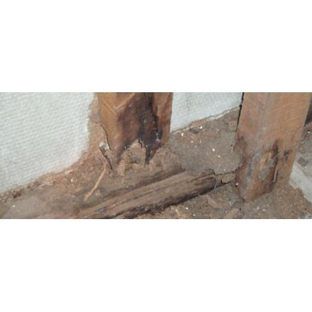 Be Sure Building & Pest Inspections - Rural View, QLD