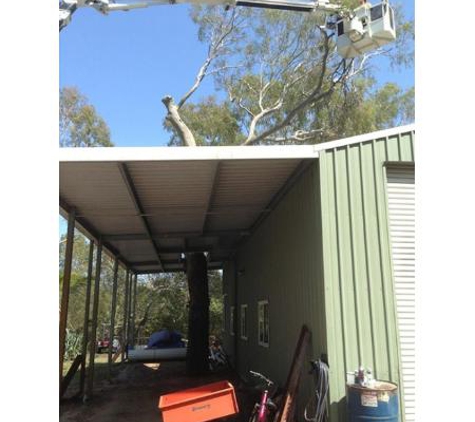 Bill's Tree Service Pty Ltd