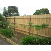 Gallery Image Number 6