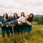 Peachtree Dental