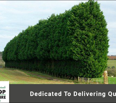 Tree Top Tower Hire - Ballarat East, VIC. Dedicated To Delivering Quality