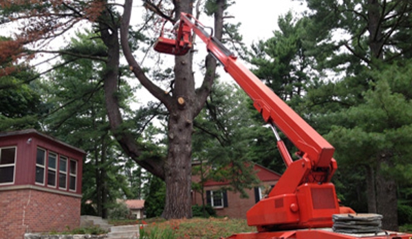 Parshall Tree Service LLC - Traverse City, MI. Scan Lift 