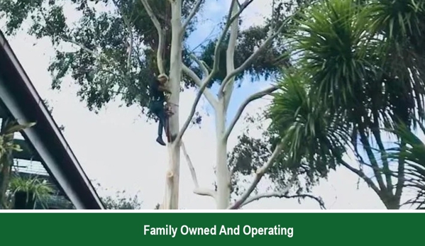 Action Tree Specialists - Kingsbury, VIC. Family Owned And Operating