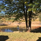 Smokey Ridge Farmstand and Charcuterie