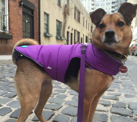 Swifto Dog Walking Upper West Side - New York, NY