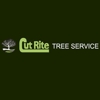 Cut Rite Tree Service gallery