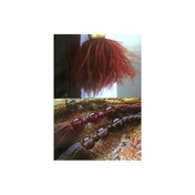 Gallery Image Number 2
