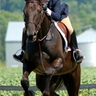 Turn Crest Equestrian Ctr