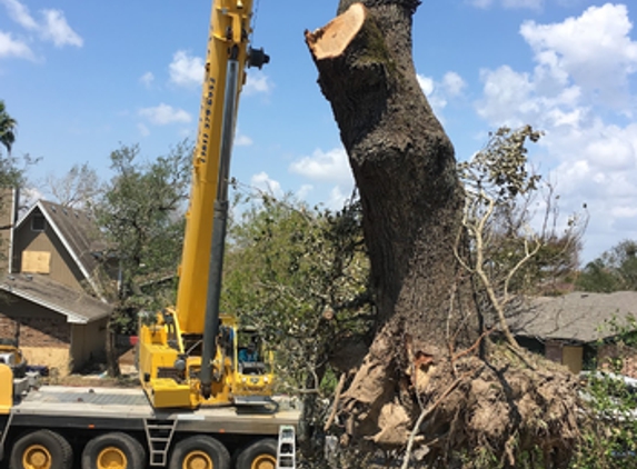 The Tree Amigos - Corpus Christi, TX