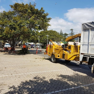 Tree Solutions - Rainbow Flat, NSW