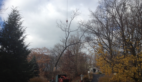 Kachur Tree Service - Niles, MI