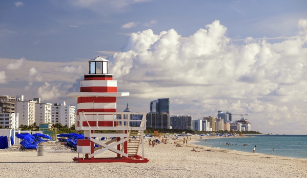 Language On Miami Beach School - Miami Beach, FL