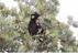 Wide Bay Native Landscapes - Landscape Contractors & Designers
