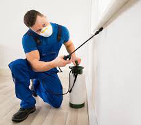 Pest Control Services ToDay - Los Angeles, CA