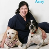 Cape  May Veterinary Hospital gallery