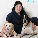 Cape  May Veterinary Hospital - Veterinarians