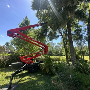 Magic Tree Service