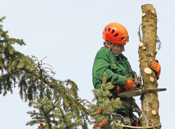Falling Leaves Tree Service LLC - West Mansfield, OH