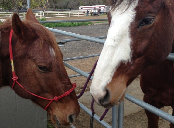 El Rodeo Stables - Brea, CA