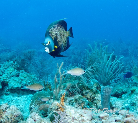 FINZ Dive Center - Key West, FL