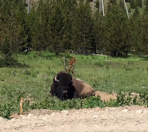 Yellowstone National Park