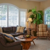 Wholesale Vertical Blinds gallery