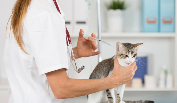 Ashcroft Veterinary Surgeons - Ashcroft, NSW