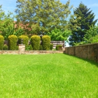 Superior Yonkers Landscaping Professionals