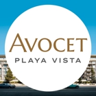 Avocet Playa Vista