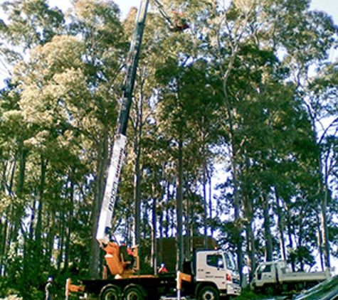 Walton's Tree Care Services