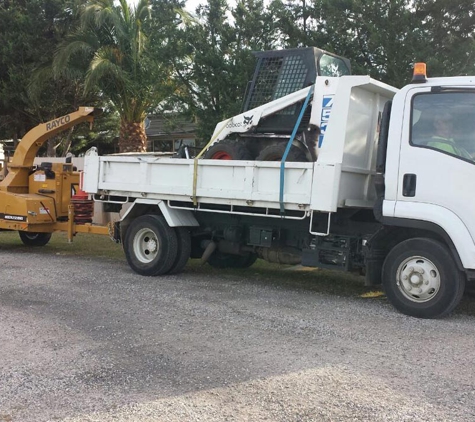 MSZ Tree Lopping Service