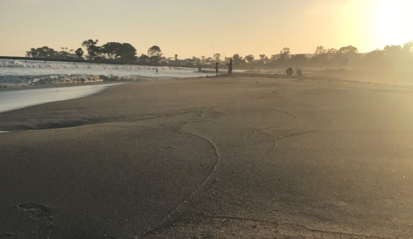 Doheny State Beach - Dana Point, CA