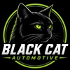 Black Cat Automotive gallery