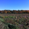 Helene's Hilltop Orchard gallery