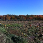 Helene's Hilltop Orchard