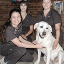 Sewell Animal Hospital - Pet Boarding & Kennels