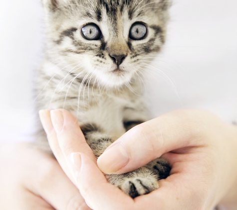 Merimbula Veterinary Clinic - Merimbula, NSW
