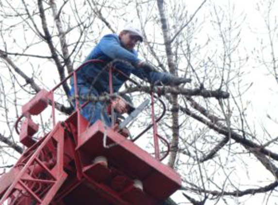 Southern Maryland Fellers Tree Service - California, MD