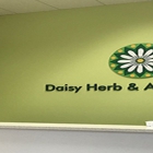 Daisy Herb & Acupuncture