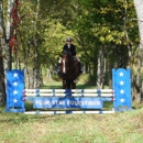 Four Star Equestrian - Horse Training