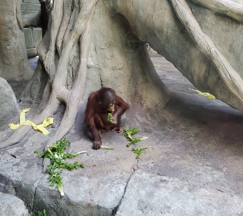 Erie Zoo - Erie, PA