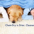 Chem-Dry of Cary