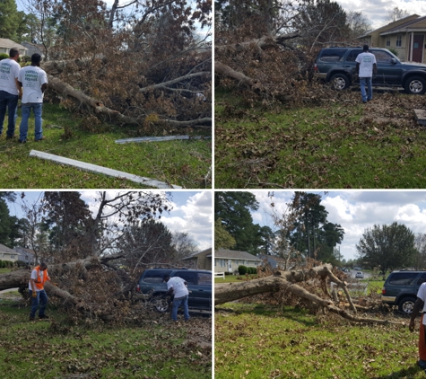 Property Service Company - Winterville, NC. Tree removal that had fallen on car in Jacksonville NC  after hurricane Florence 