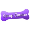 Camp Canine LLC gallery
