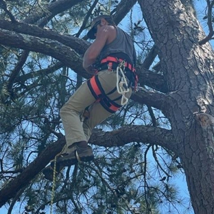 Tree Masters Tree Service