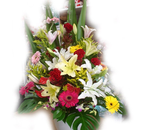 Belida Florist & Gift Shop - Croydon, NSW