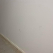 Gallery Image Number 4